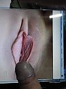Cokkie Tribute, foto 1536x2048, 0 reacties, 1 stemmen