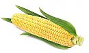 Corny Horny, foto 758x461, 0 reacties, 2 stemmen