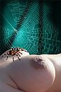 Couple2, as a spider, foto 2588x3888, 2 reacties, 11 stemmen