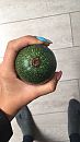 Courgette deel 3, foto 540x960, 27 reacties, 180 stemmen