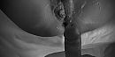 Cuckold date, foto 1758x883, 2 reacties, 7 stemmen
