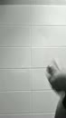 Cumshot! Vliegend zaad!, film 00:00:00, 1 reacties, 7 stemmen