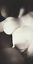 Curvy, foto 1200x2308, 8 reacties, 35 stemmen