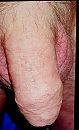 Dat is me pik he. Zoals gevraa, foto 1534x2518, 2 reacties, 7 stemmen