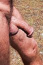 De zon, foto 2422x3634, 15 reacties, 43 stemmen