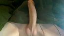 Dick pic, foto 1280x720, 3 reacties, 8 stemmen