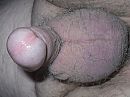Dikke balzak, foto 2496x1872, 1 reacties, 9 stemmen