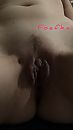 Dikke mus, foto 1153x2048, 4 reacties, 27 stemmen