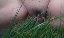 Dit antwoordde ze me, foto 1600x956, 17 reacties, 57 stemmen