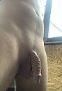 Doe het zachtjes...., foto 1808x2615, 0 reacties, 8 stemmen
