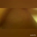 Doggy tease, film 00:00:10, 23 reacties, 118 stemmen