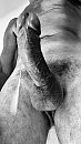 Drippin' juices..., foto 720x1280, 6 reacties, 11 stemmen