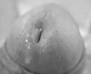 Droplet, foto 2288x1874, 2 reacties, 8 stemmen