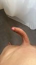 Duss, foto 1152x2048, 4 reacties, 16 stemmen