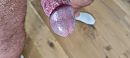 Eikel, foto 4000x1801, 4 reacties, 8 stemmen