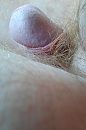 Eikel artistiek? Zeg het maar., foto 2248x3373, 0 reacties, 4 stemmen