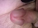 Eikel showen, foto 2944x2208, 0 reacties, 1 stemmen