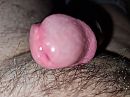 Eikel, foto 4000x3000, 0 reacties, 1 stemmen