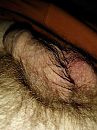 Eindelijk weer behaard, foto 3000x4000, 2 reacties, 8 stemmen