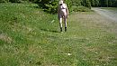 Elzas wandeling 2_3, foto 1920x1080, 0 reacties, 4 stemmen