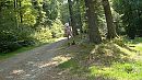 Elzas wandeling 4_2, foto 1920x1080, 0 reacties, 3 stemmen