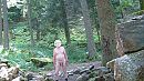 Elzas wandeling 5_1, foto 1920x1080, 2 reacties, 8 stemmen