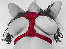 Enjoylife013, foto 2048x1536, 5 reacties, 55 stemmen