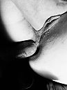 Enjoylife013, foto 3000x4000, 1 reacties, 19 stemmen