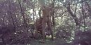 Even een pijpbeurtje ,, foto 666x336, 2 reacties, 3 stemmen