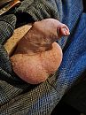 Even eruit op het werk, foto 3000x4000, 2 reacties, 4 stemmen
