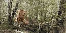Even showen 2,, foto 654x329, 3 reacties, 2 stemmen