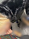 Even snel in de lift, foto 3003x4000, 21 reacties, 102 stemmen