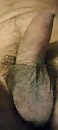 , foto 1188x2640, 0 reacties, 5 stemmen