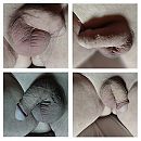 , foto 2826x2826, 1 reacties, 2 stemmen
