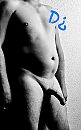 , foto 955x1518, 3 reacties, 9 stemmen