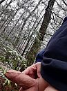 , foto 2472x3296, 1 reacties, 6 stemmen