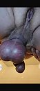 , foto 720x1600, 0 reacties, 6 stemmen