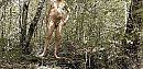 FF showen, foto 654x321, 0 reacties, 0 stemmen
