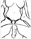 Fantasieën, foto 1018x1273, 10 reacties, 20 stemmen