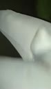 Ff wandelen, film 00:00:10, 5 reacties, 17 stemmen