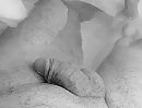 Ff relax, foto 2526x1927, 5 reacties, 13 stemmen
