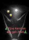 Fijne Feestdagen, foto 768x1024, 22 reacties, 110 stemmen