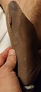 Footlovers sokje, foto 1800x4000, 6 reacties, 9 stemmen