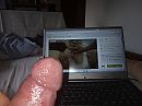 For hotmoods, foto 4000x3000, 1 reacties, 2 stemmen