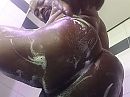 Fris begin. Fijne 2023 xx, foto 1181x886, 3 reacties, 9 stemmen