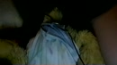 Fucked a teddy bear, film 00:00:29, 2 reacties, 7 stemmen