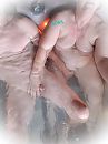 Fun time, foto 2736x3648, 12 reacties, 69 stemmen