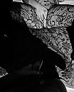 Game of Shadows, foto 810x1002, 2 reacties, 7 stemmen