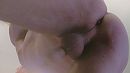 Geil en zin, foto 1845x1039, 1 reacties, 11 stemmen