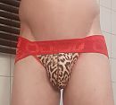 Geile verrassing, foto 1788x1615, 3 reacties, 12 stemmen